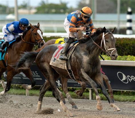 Road to the 2023 Kentucky Derby: Florida Derby analysis