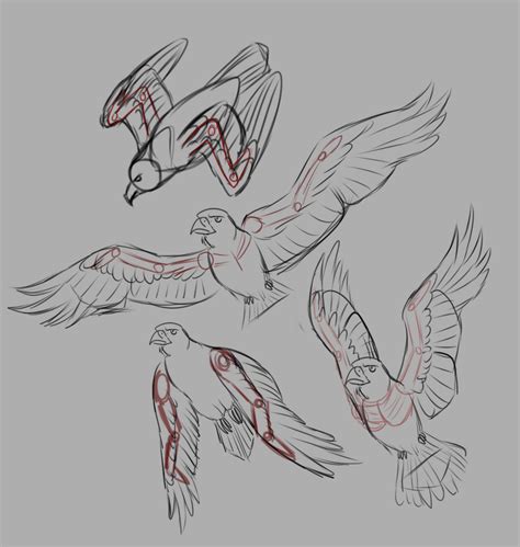 Bird wings practice by Lunarwolven on DeviantArt