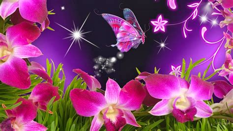 Beautiful Orchid Flower Wallpaper - WallpaperSafari