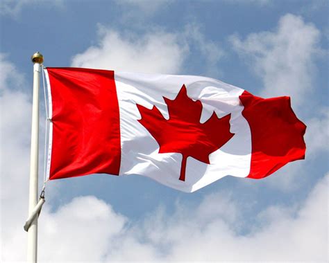 Health Canada Guidance on Medical Devices | RegDesk