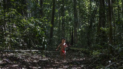 Brazil's indigenous Waiapi tribe guards the Amazon | CNN