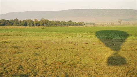 Low Flying Hot Air Balloon Ride Over Empty African Grassland Savanna in Maasai Mara National ...