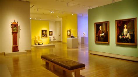 Dallas Museum of Art Pictures: View Photos & Images of Dallas Museum of Art