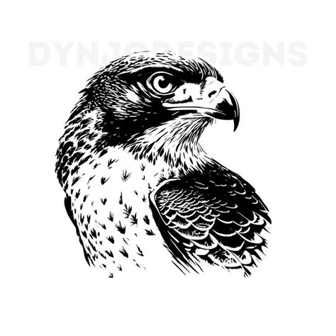 Falcon Svg, Falcon Clipart, Falcon Png, Falcon Head, Falcon - Inspire ...