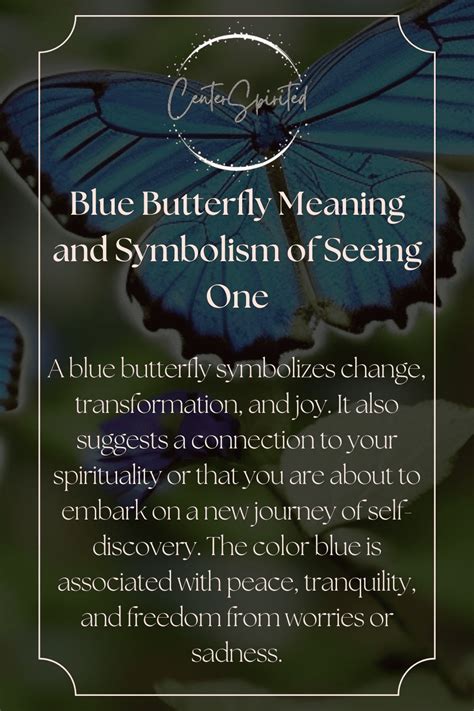 Blue Butterfly Meaning and Symbolism of Seeing OneButterflies of all colors are believed to c ...