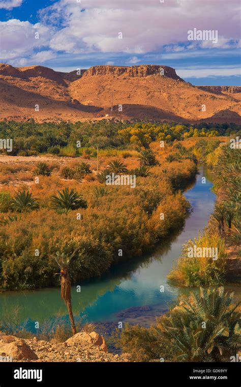 Tafilalet Oasis, Tafilalt Oasis, Ziz River, Gorges du Ziz, Ziz Valley ...