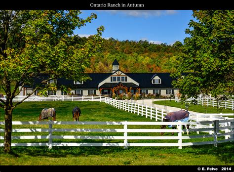 Ontario Ranch in Autumn | Nikon D800E and lens Voigtlander 9… | Flickr