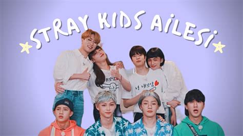 Stray Kids Skz Family Stay 3rd Anniversary Reaction – Otosection