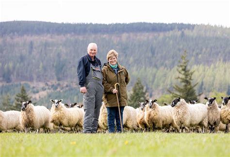 Sheep farmers invited to attend Ballindalloch Farm meeting