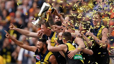 Dominant Richmond take out second AFL premiership in three years | 7NEWS