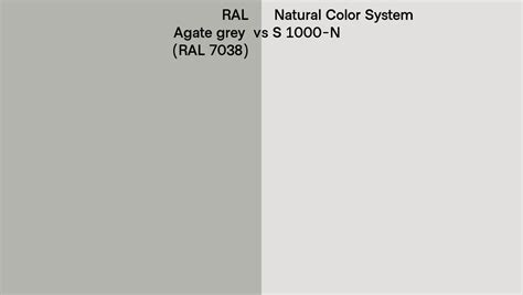 RAL Agate grey (RAL 7038) vs Natural Color System S 1000-N side by side comparison