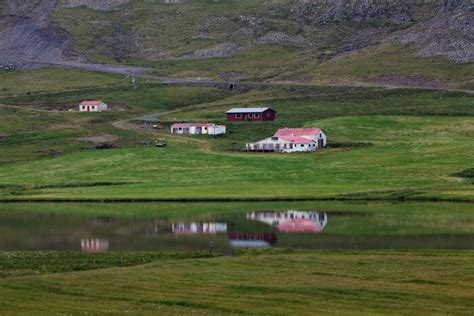 The best place to see puffins in Iceland