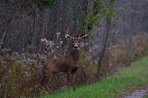 Five Wicked Wildlife Encounters – Paul Gains Photography