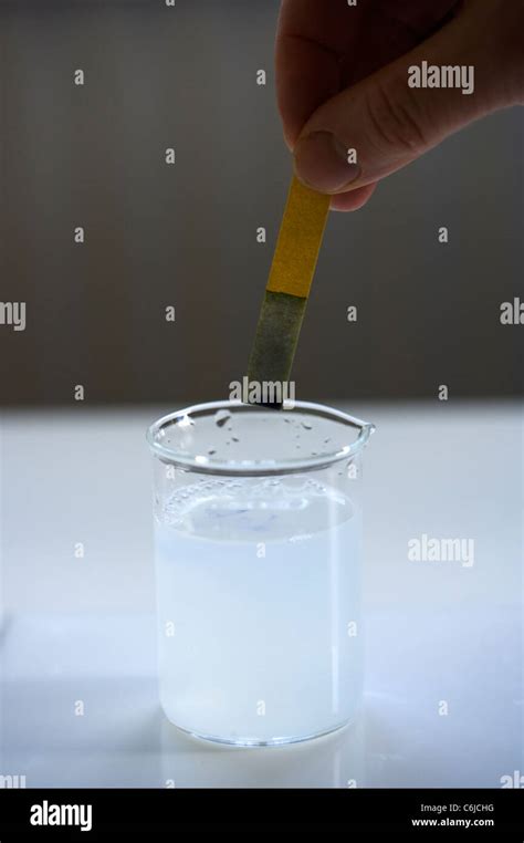 pH test using indicator paper- neutral pH 7 Stock Photo - Alamy