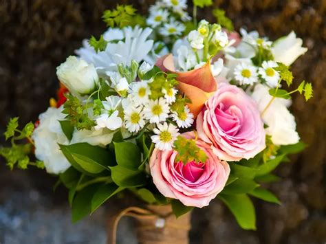 21 Daisy Wedding Bouquet Ideas for a Dreamy Arrangement