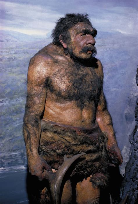 human evolution - The emergence of Homo sapiens | Britannica