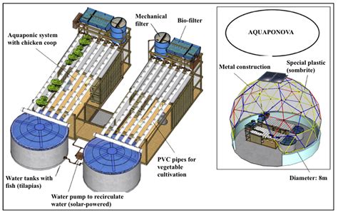 Aquaponics System Layout And Components Land Grant Press - Design Talk