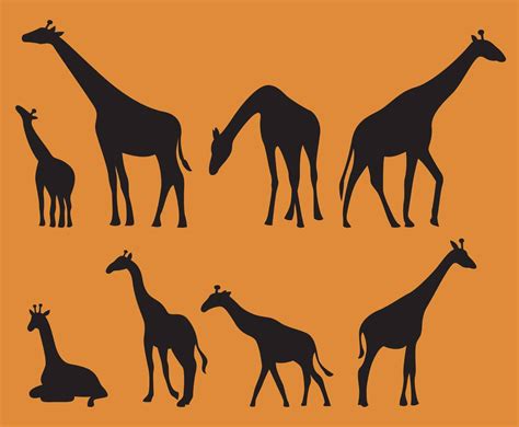 Giraffes Silhouettes Vector Art & Graphics | freevector.com