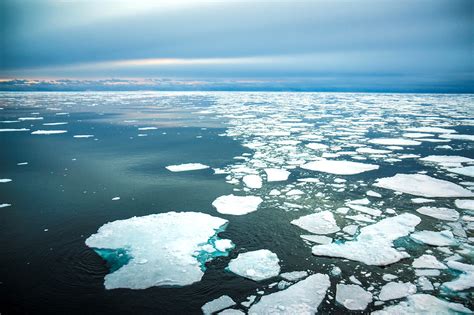 Arctic sea ice winter peak in 2019 is seventh lowest on record - Carbon ...