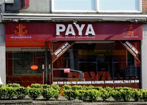 PAYA ORIENTAL, Harpenden - Photos & Restaurant Reviews - Order Online Food Delivery - Tripadvisor