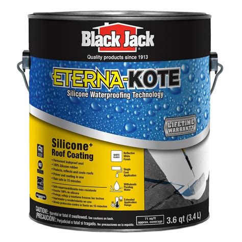 Shop BLACK JACK Premium Silicone Waterproofing Coating 3.6-Quart ...