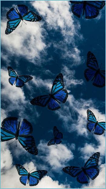 Tổng hợp 789 Background aesthetic butterfly Chất lượng độc đáo, tải ...