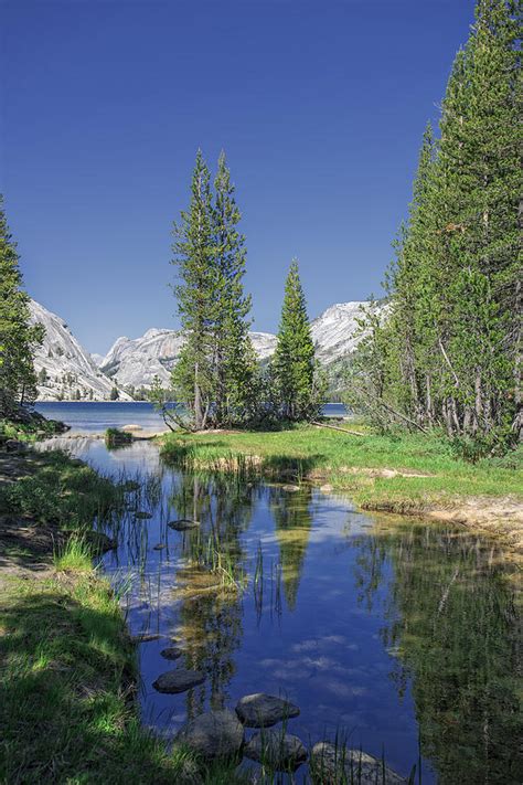 Yosemite Summer Photograph by Michael Gallitelli - Fine Art America