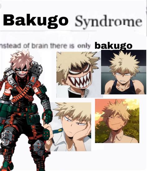 D-5 Of Bakugo's Birthday: Bakugo Memes Pt.5 | Fandom