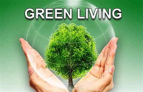 How to Live a Greener Lifestyle - NewsTricky