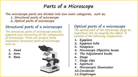 Parts of a Microscope and their function - YouTube