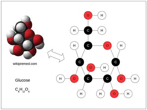 Glucose Molecule Model