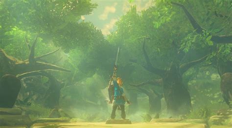 Zelda: Breath of the Wild Master Sword Bug Sends it Back to Korok Forest