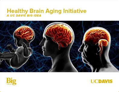 A Case for Support: Healthy Brain Aging Initiative | UC Davis Big Ideas