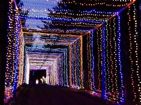 Jellystone Park Announces 2019 Christmas Carnival of Lights | Mount ...