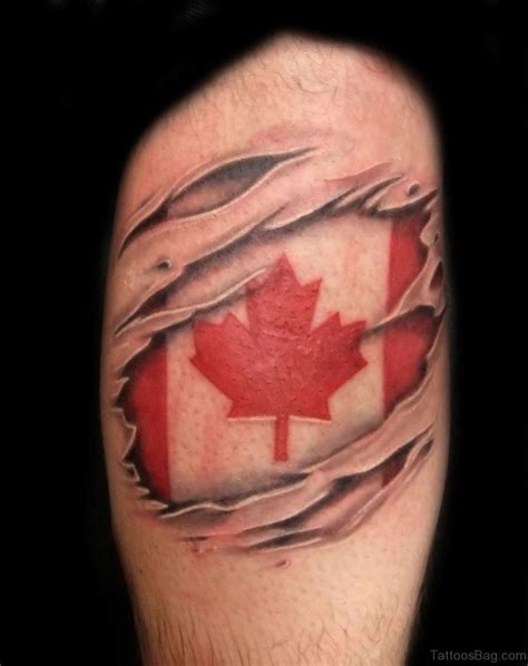 62 Attractive Leaves Tattoos For Shoulder