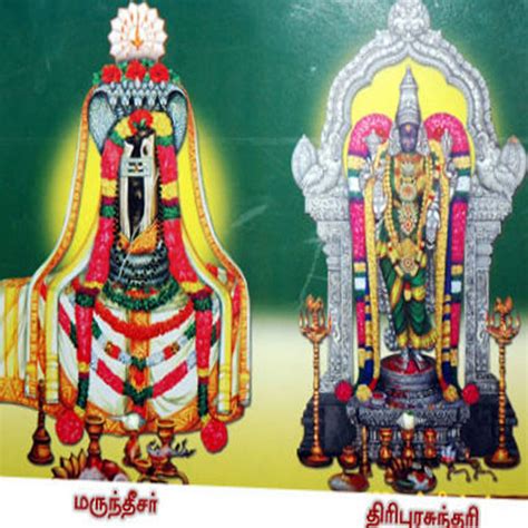 Vaidyanathar Temple - Vaitheeswaran koil (Health Problems)