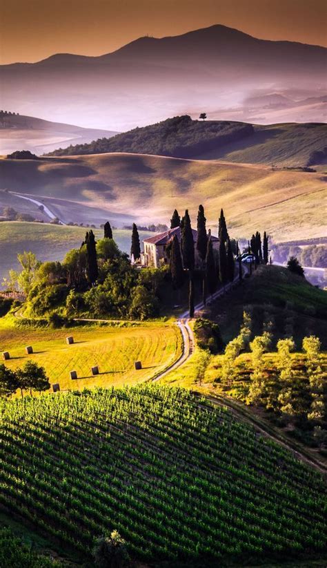 4 MAGICAL VINEYARD VILLAS TO ESCAPE TO IN TUSCANY Premium wines delivered to your door. Get in ...