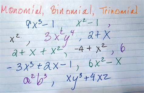 Monomials, Binomials, Trinomials - Math Tutoring & Exercises