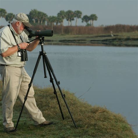 GREAT FLORIDA BIRDING AND WILDLIFE TRAIL (2024) All You Need to Know ...