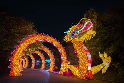 Animals Aglow Lantern Fest Will Light Up St. Louis Zoo This Spring