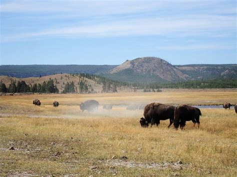 Historian in Residence: The History and Prehistory of the North ...