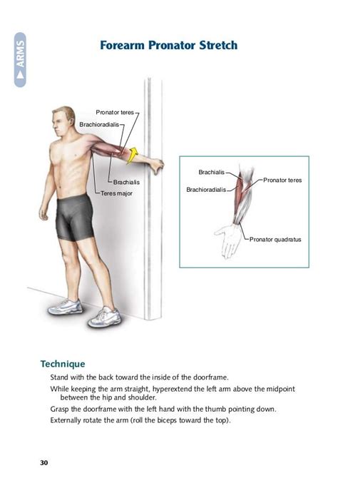 Brachial Plexus Therapy Exercises