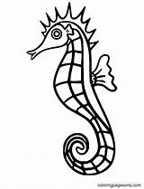 60 Coloriages Dhippocampes  ColoringPagesOnlycom sketch template