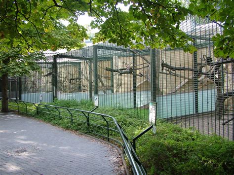 Monkey Cages at Berlin Zoo, 31/08/11 - ZooChat