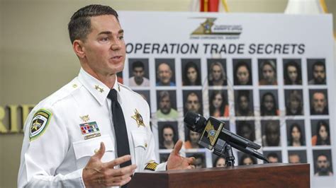 Hillsborough Sheriff's Office sweep results in more than 80 arrests ...