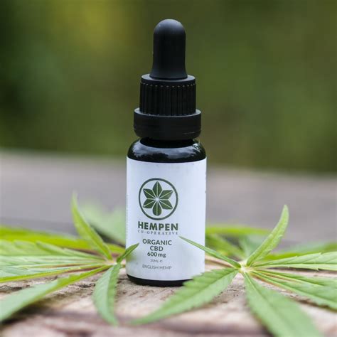 CBD Oil- Guide to Health Benefits that Guarantee a Healthy System - Doodle Bug Web Designs