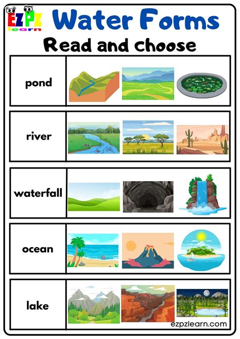 Water Forms Read and Choose Activity Free PDF download - Ezpzlearn.com