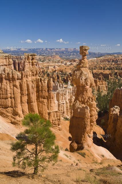 Thor's Hammer, an iconic hoodoo on the Navajo trail, a hiking trail ...