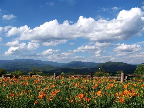 Great Smoky Mountains National Park | Great Smoky Mountains: Great ...