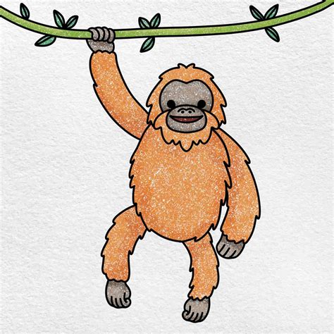 How to Draw an Orangutan - HelloArtsy